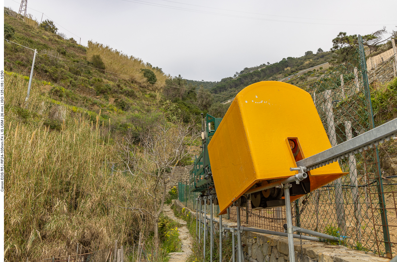 Eine Einschienenbahn erleichtert den Winzern die Arbeit ...
