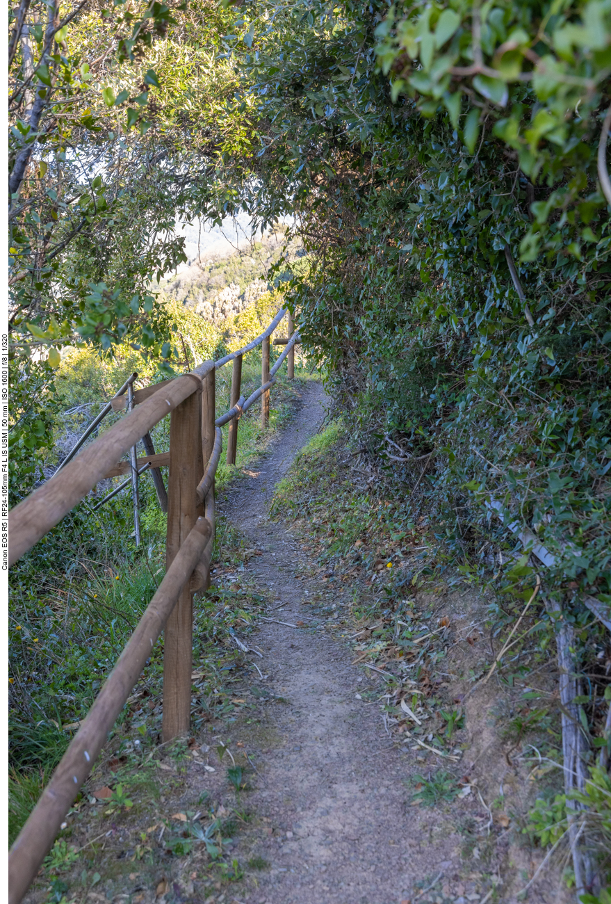 ... bis zur Küste hinunter