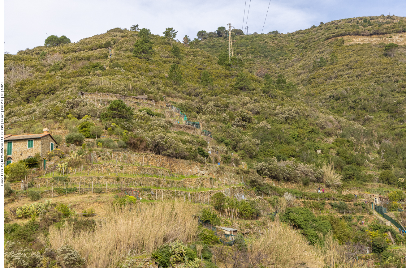 Dort hinten rechts, wo die Wanderer zu erkennen sind, führt unser Weg nun steil hinauf