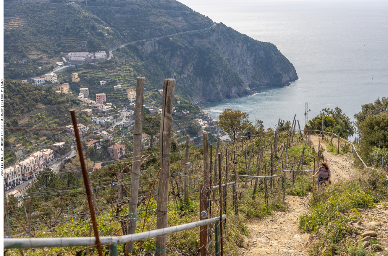 Der Weg führt hier zischen Weinreben hindurch