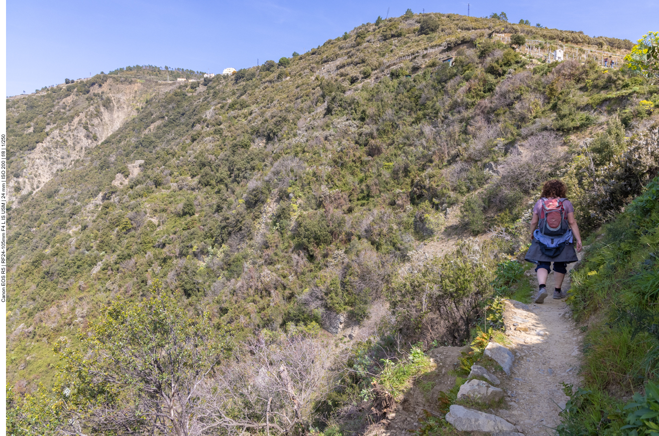 ... doch der Weg ist noch weit