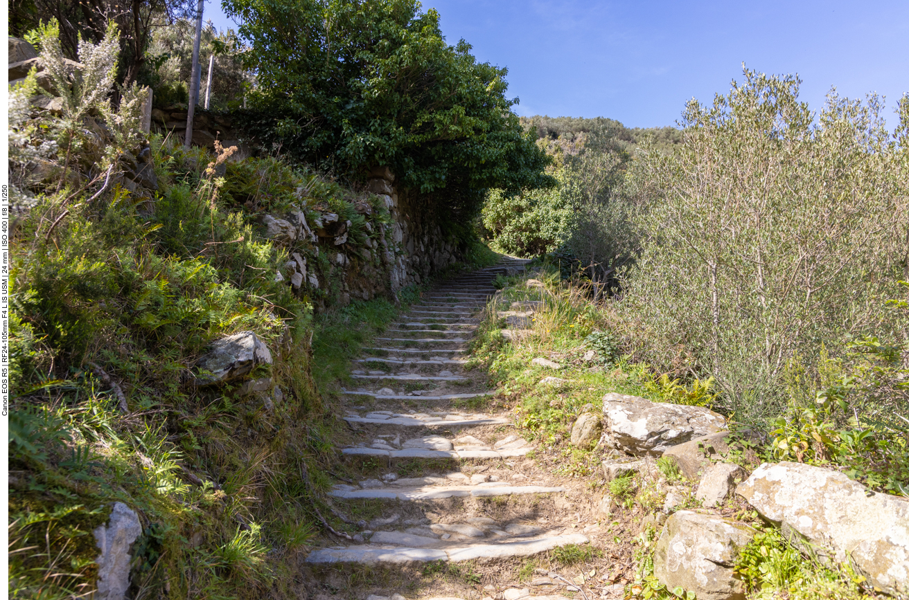 ... dann geht es weiter den Berg hinauf