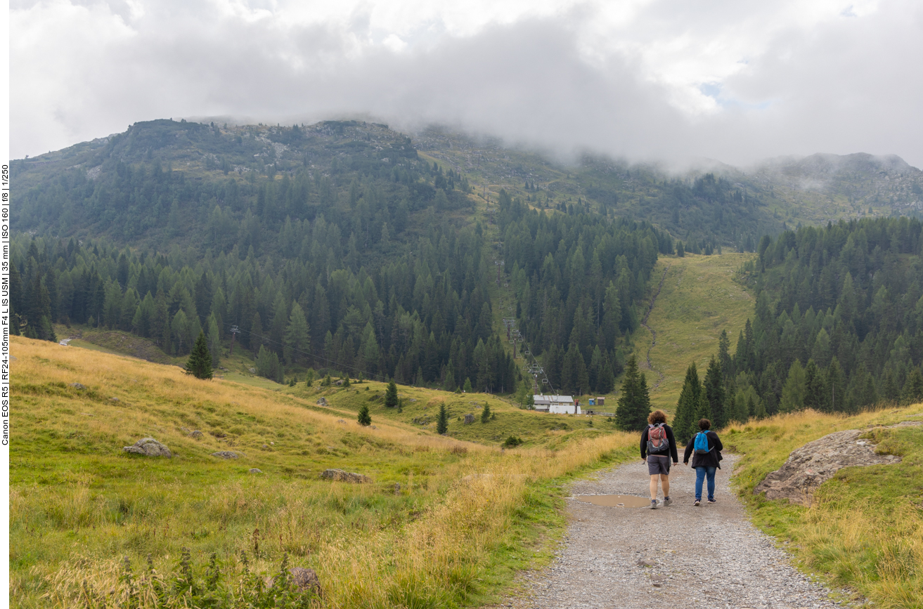 Die Pfütze zeigt, dass es in der Nacht schon geregnet hatte