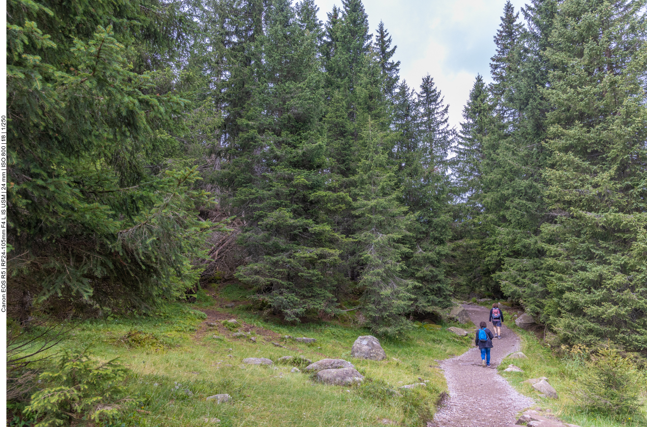 ... der Hirsch hatte sich gleich verzogen :-(