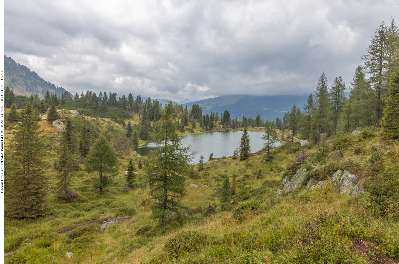 Ciao, ciao, Colbricon