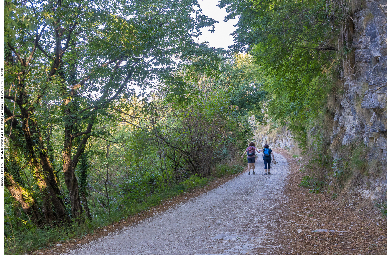 Auf dem Weg zur Malga Alpe Madre