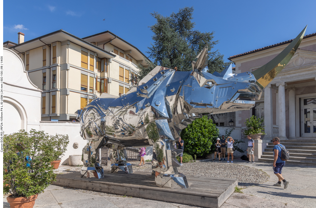 "King Kong Rhino" − Waiting for Albrecht Dürer, am Palazzo Sturm