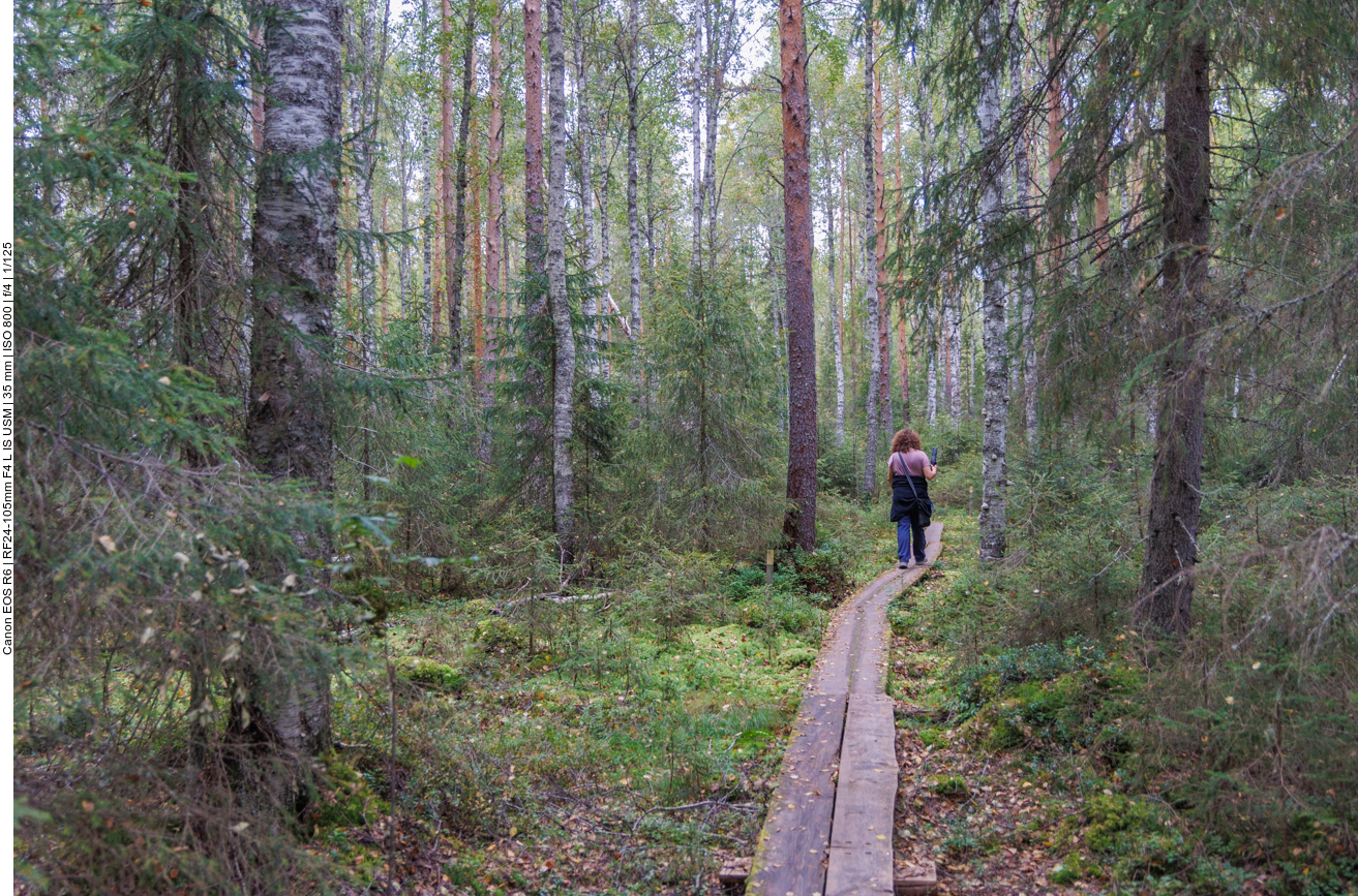 Manche Bretter waren ziemlich morsch :-(