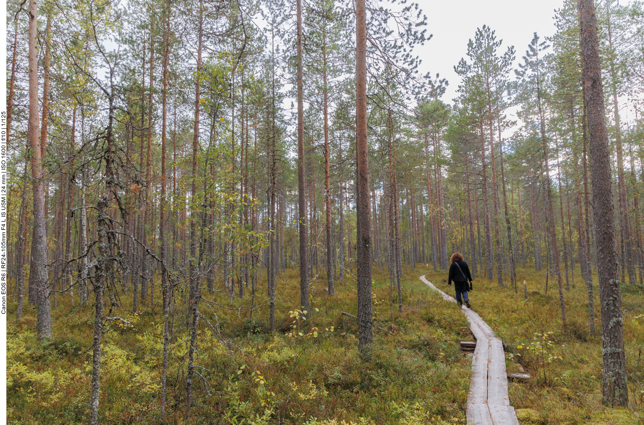 Marsch durch das feuchte Moorgebiet