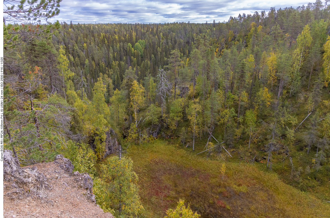 Blick von einem Hügel in das Moorgebiet