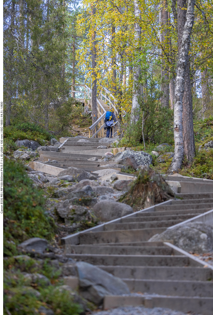 Diesmal führen die Treppen hoch hinauf