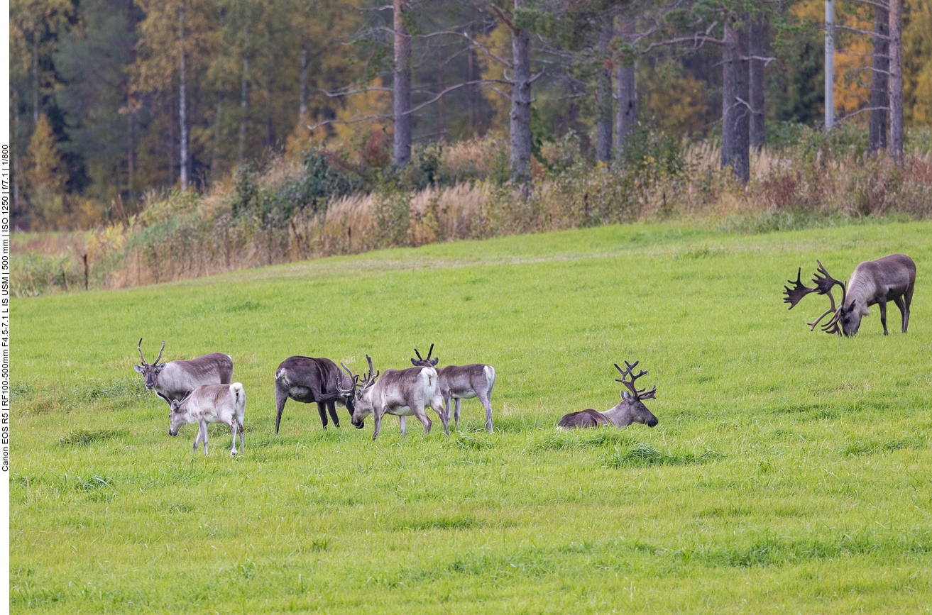 ... mit Stromschnellen