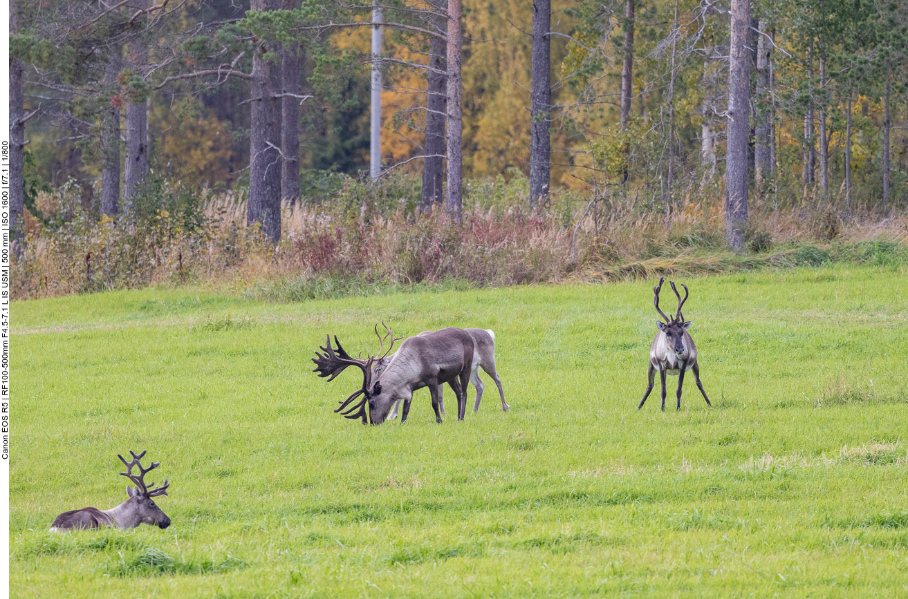 Hm, komische Stellung der Beine ;-)