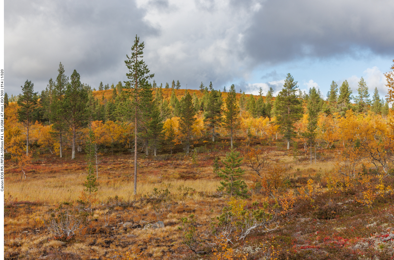 Die Wolken sehen nach Regen aus