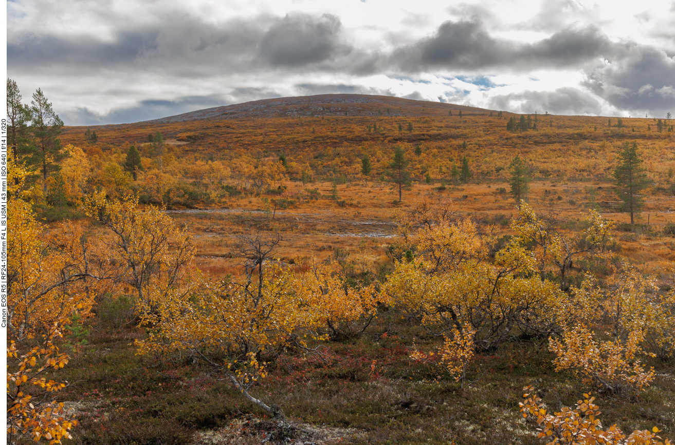 Dort oben müssen wir nicht hin ...