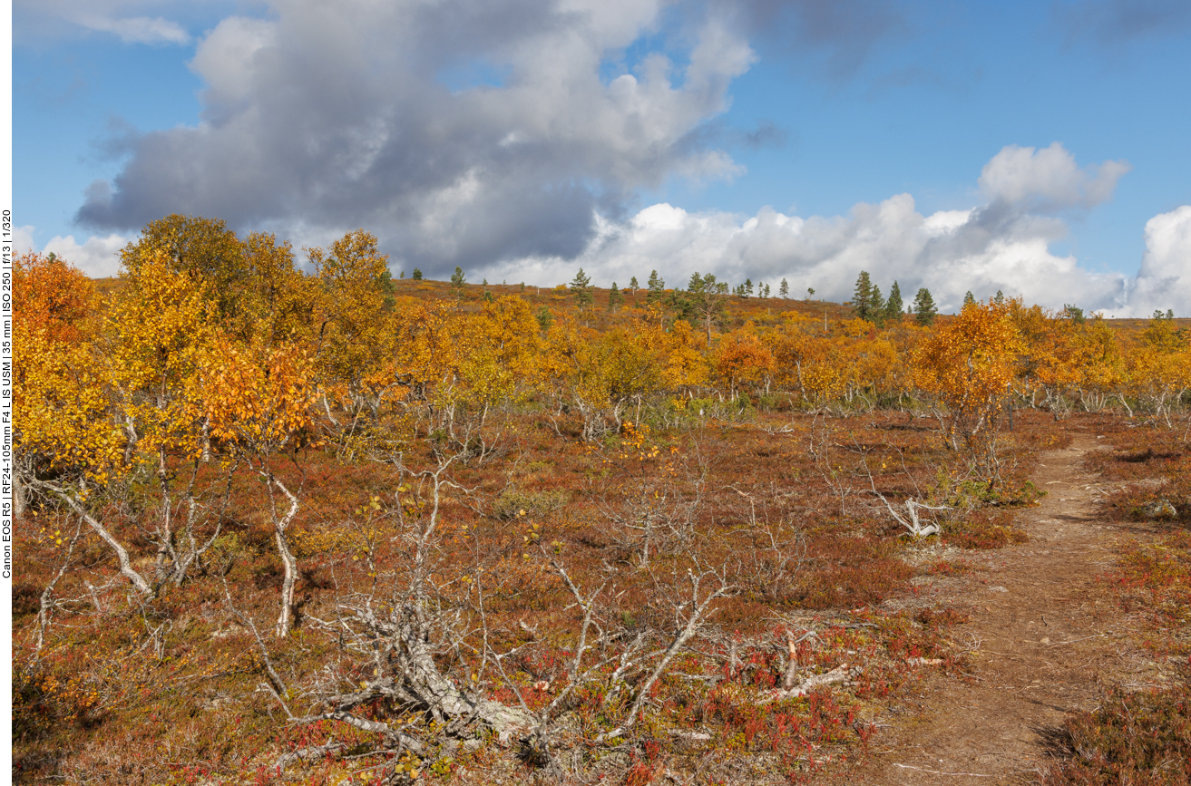 ... aber dort hinauf ...