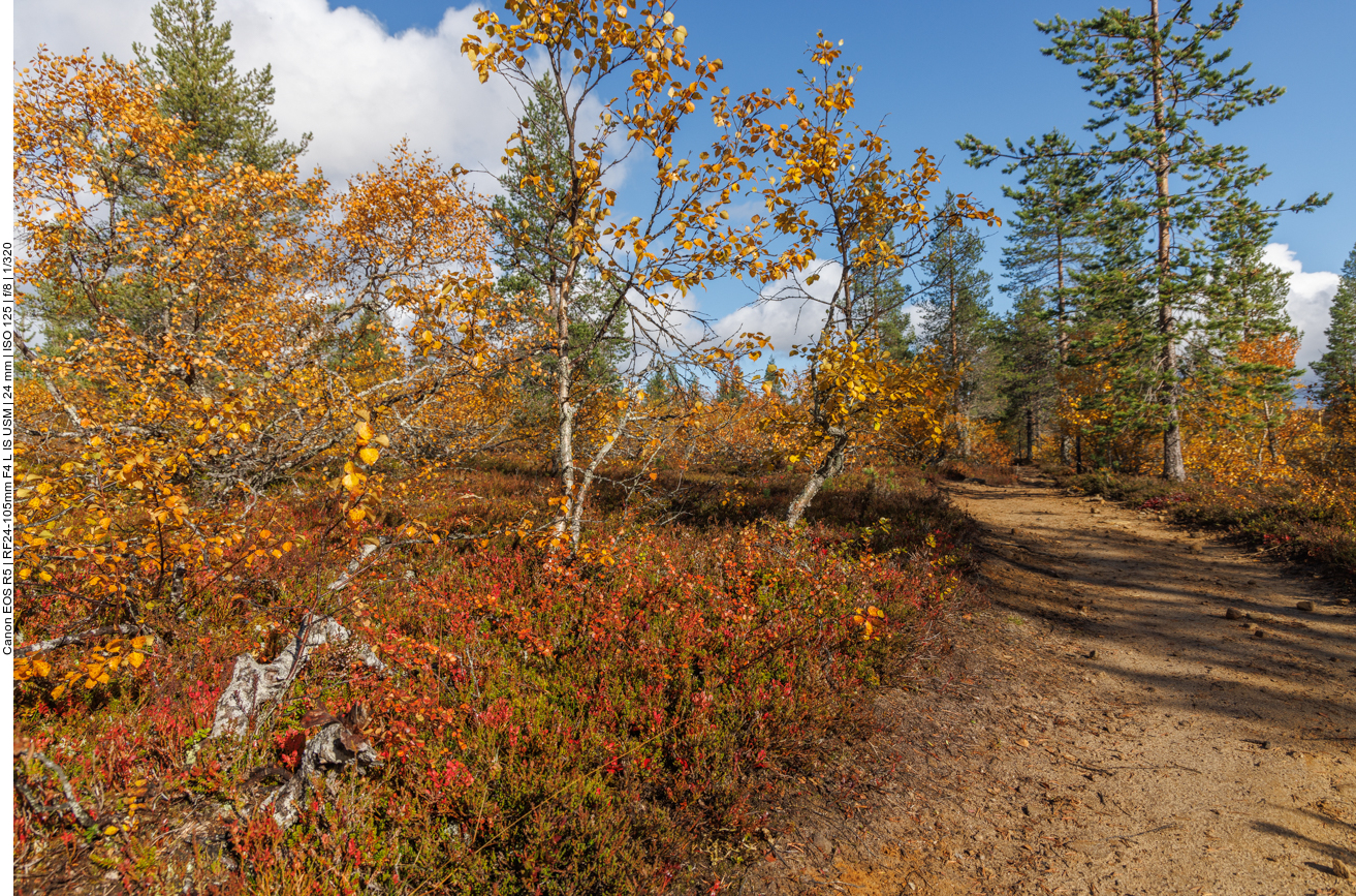 ... in den Herbstfarben