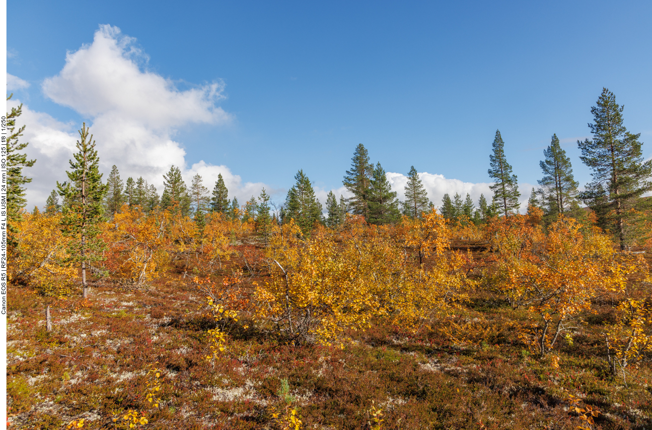 Der Himmel ist wieder blau