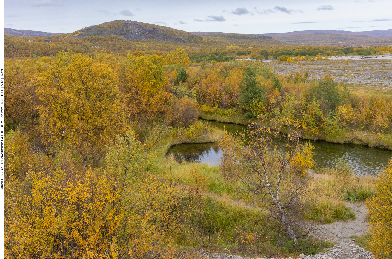 An Land nur Bäume und Gestrüpp