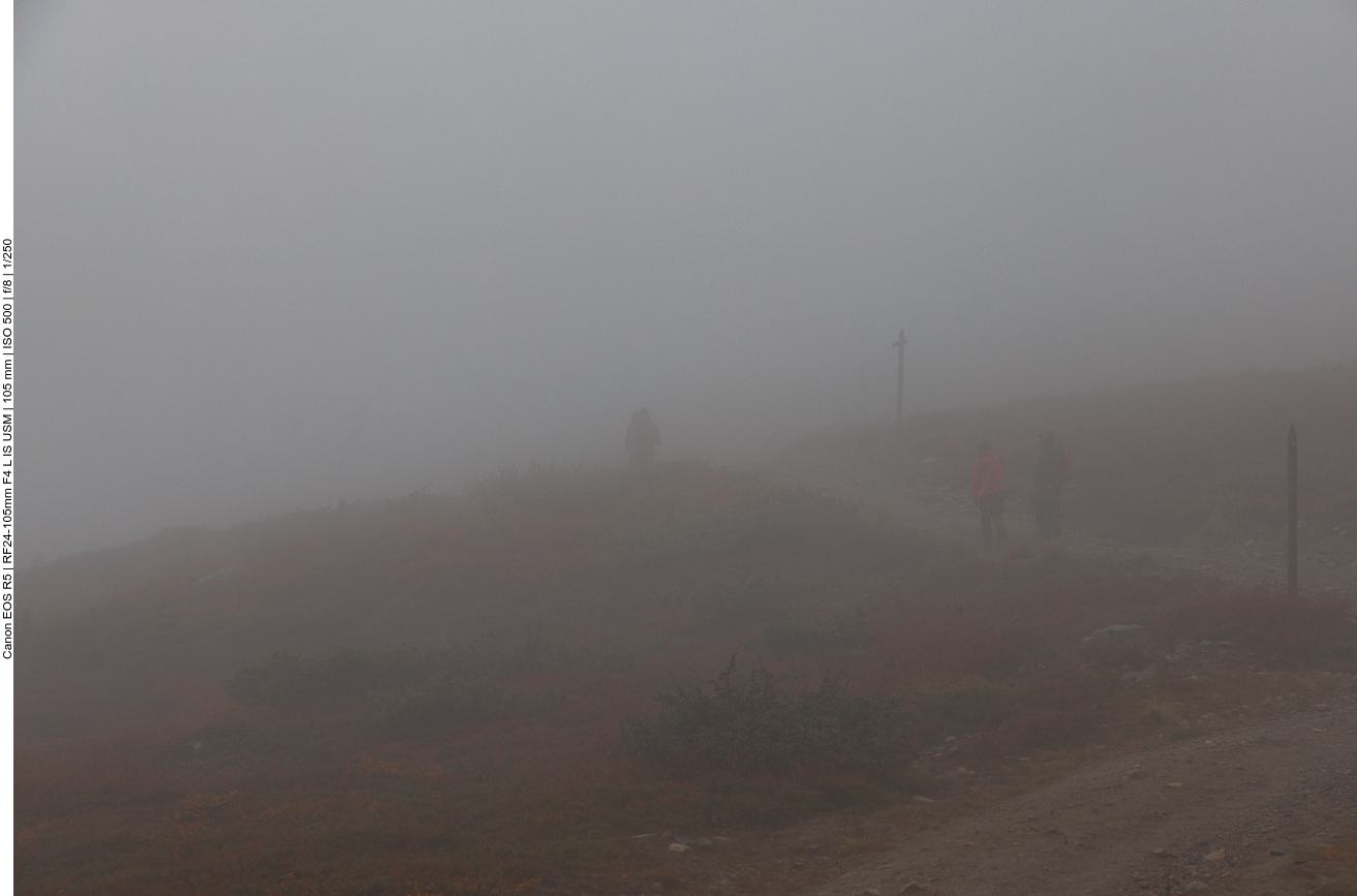 Wir sind in der Nebelzone