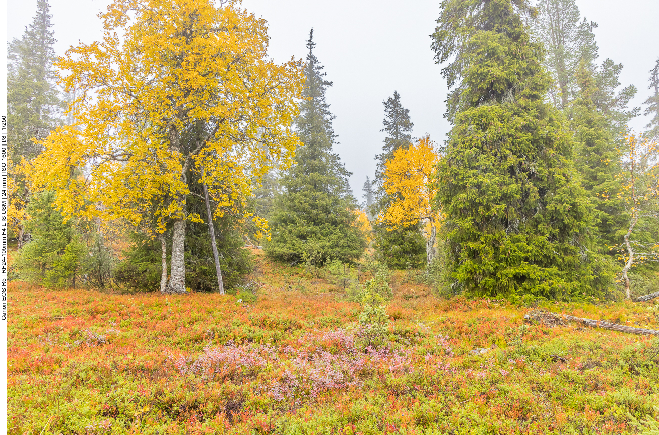 Unten ist es wieder ruhiger und trockener