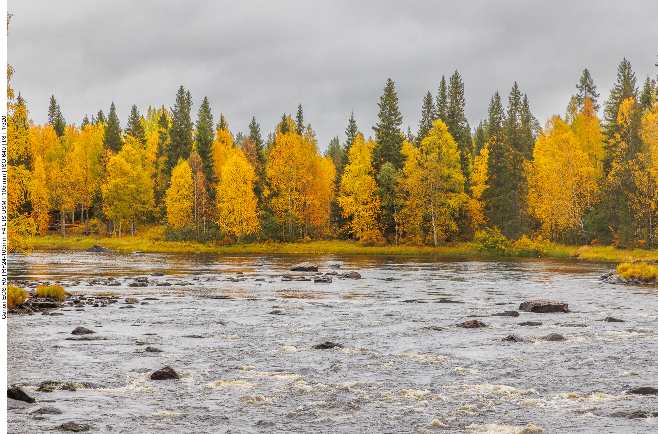 Russka (Finnischer Indian Summer) am Flussufer