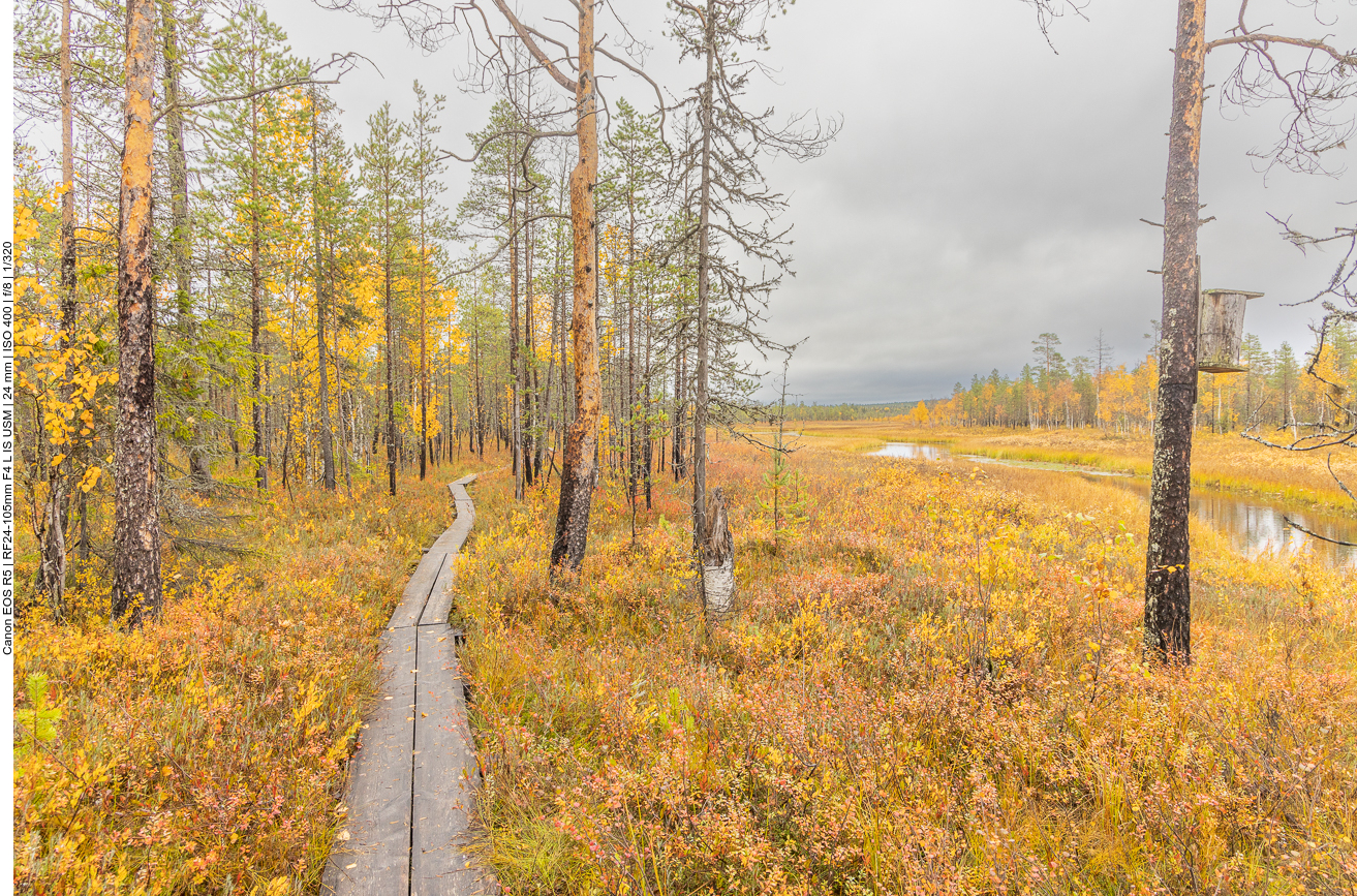 Plankenweg am Flussufer