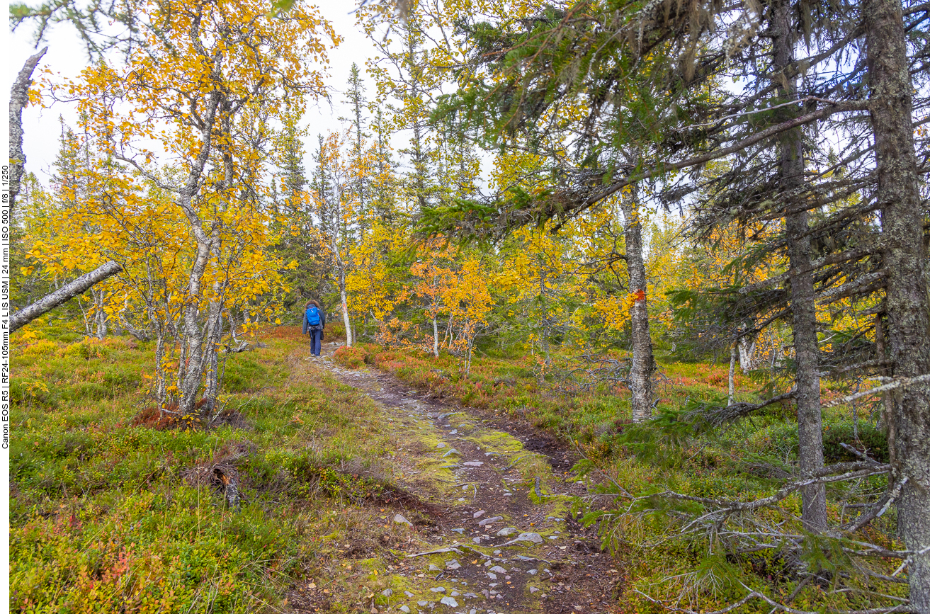 Wieder im offenerem Gelände
