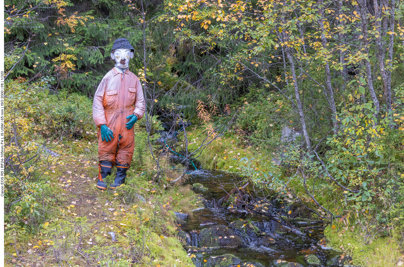 Kurze Schrecksekunde beim Anblick ;-)