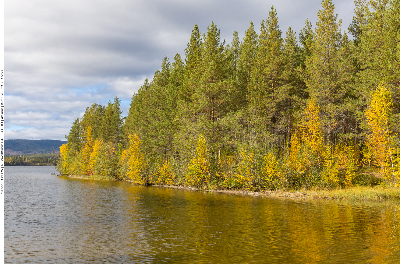 Herbstliche Verfärbungen ...