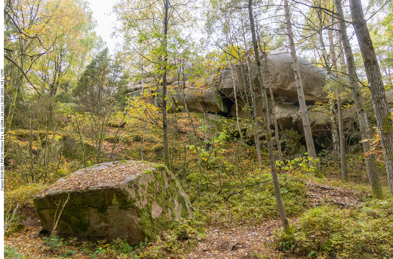 Durch den Wald geht es zurück