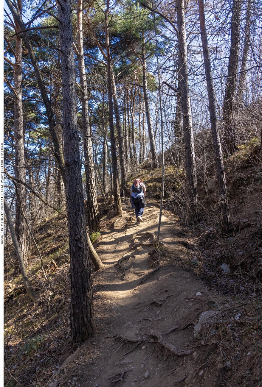 Ab und zu ist es anstrengend