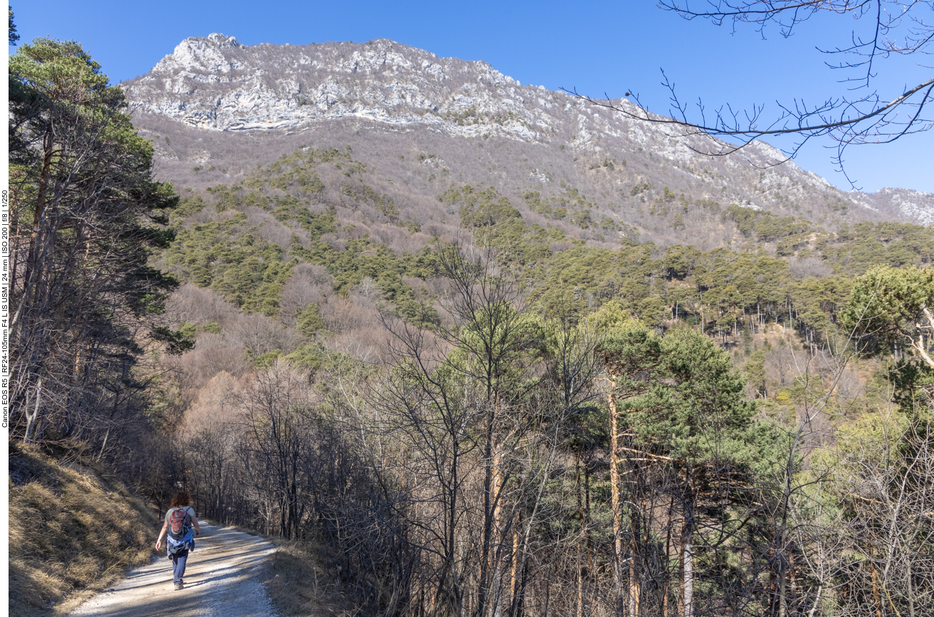 Auf dem Rückweg ...
