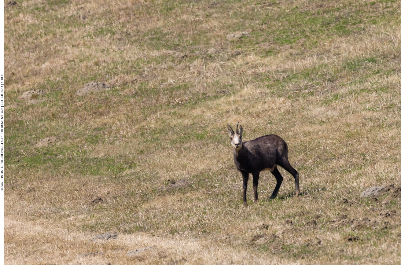 ... und lassen euch in Ruhe