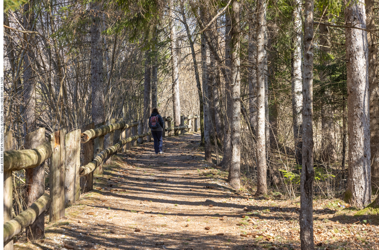 Es geht weiter auf dem Naturweg