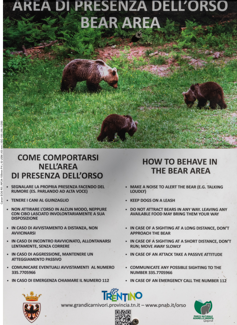 Bären gibt es hier tatsächlich, doch wir sehen keinen