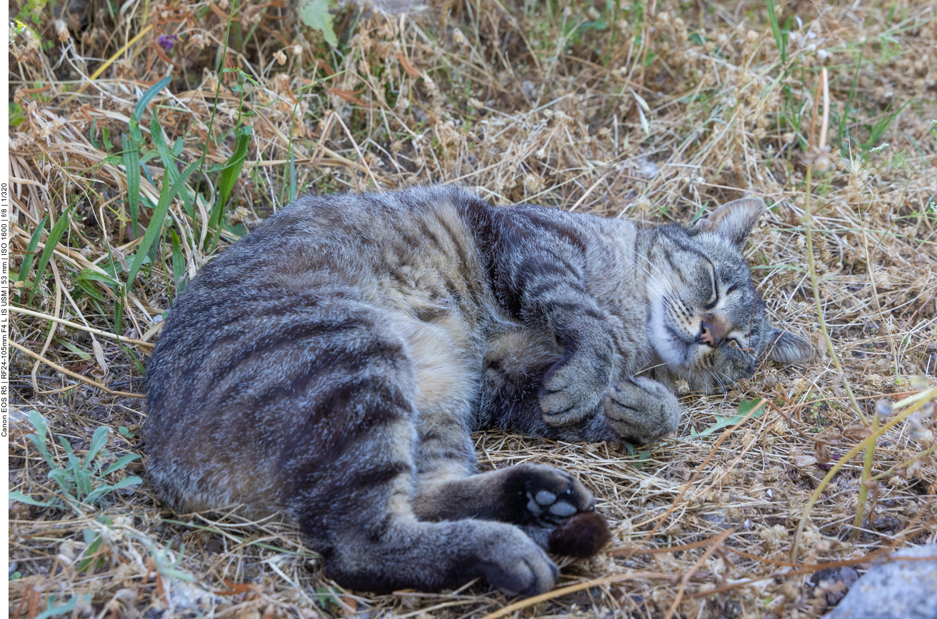 ... bei 30°C verständlich