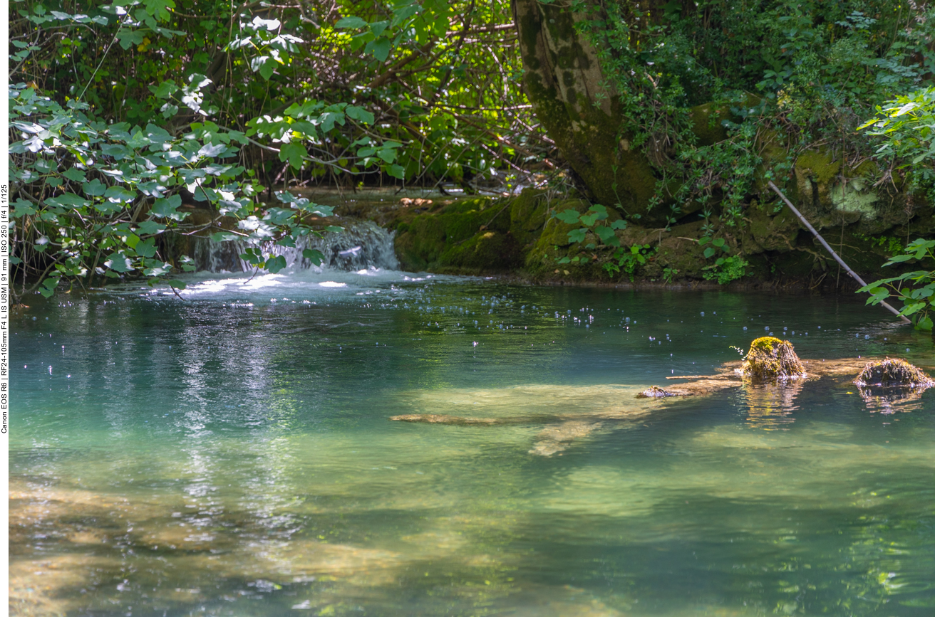 Ein Bach fließt in einen Teich