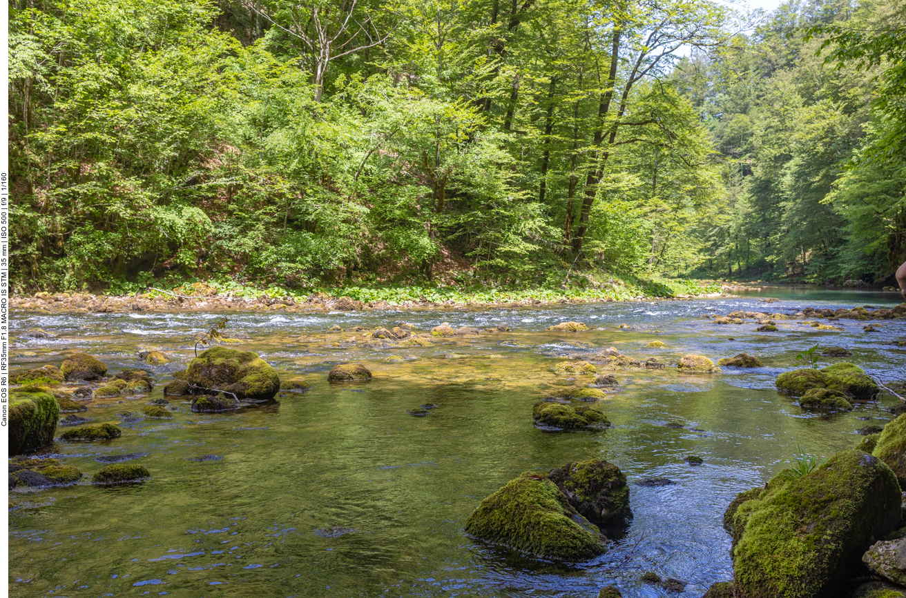 Flussabwärts findet man leichte Stromschnellen