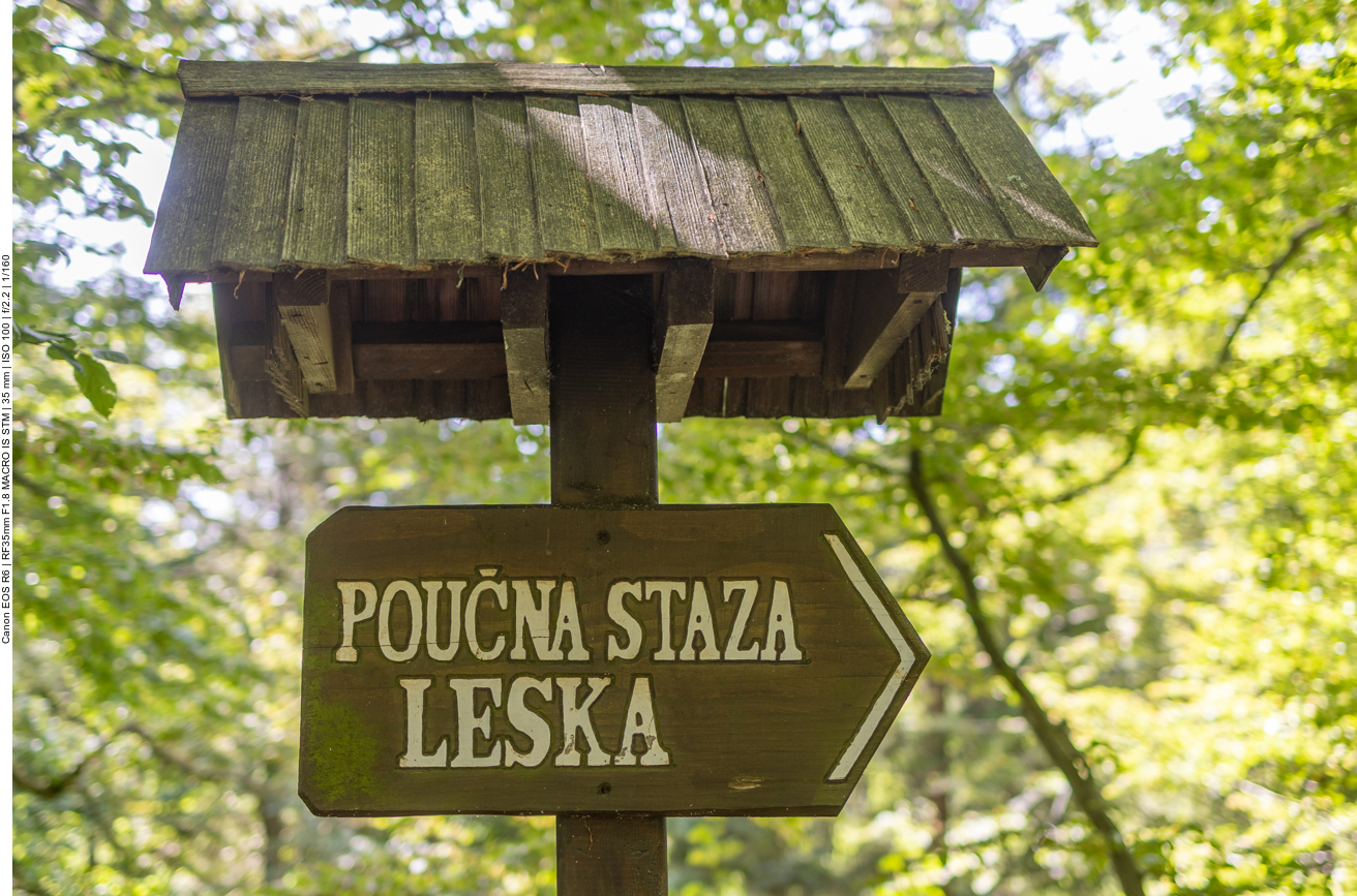 Wir gehen den Leska Weg - den hier fast jeder geht ;-)