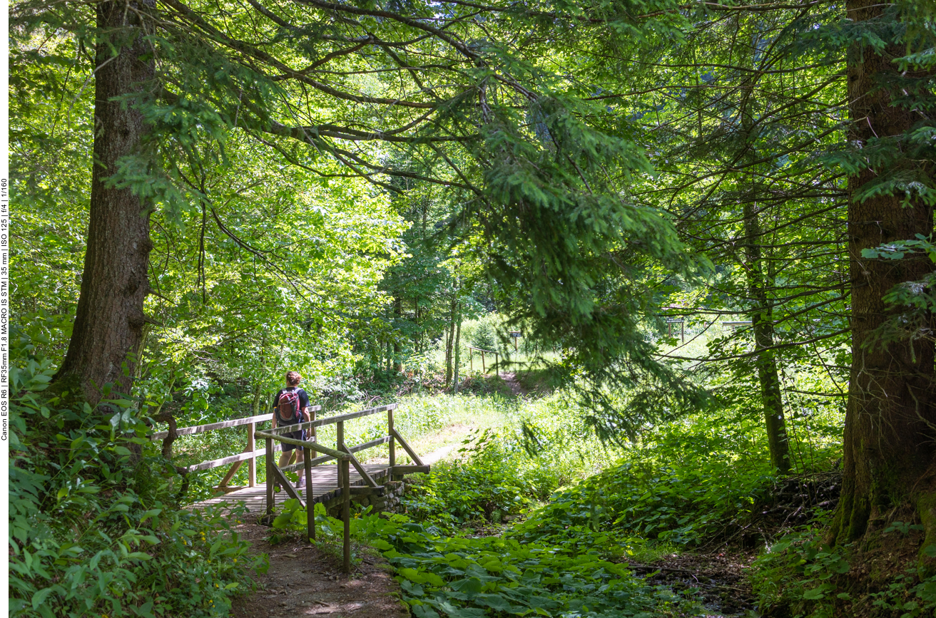 Brücke über einen Bach