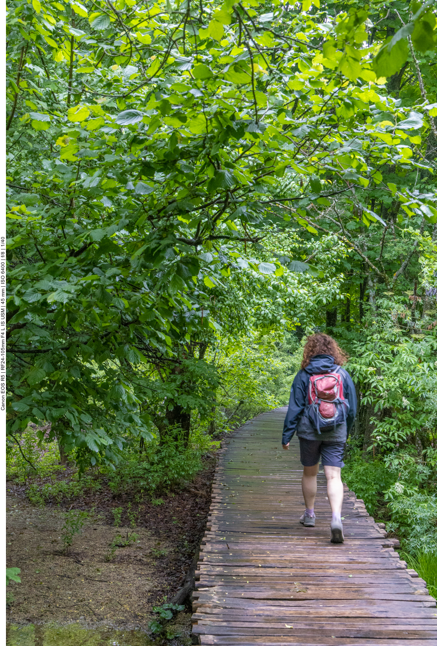 Zu einem guten Teil verlaufen die Wege auf Holzplanken
