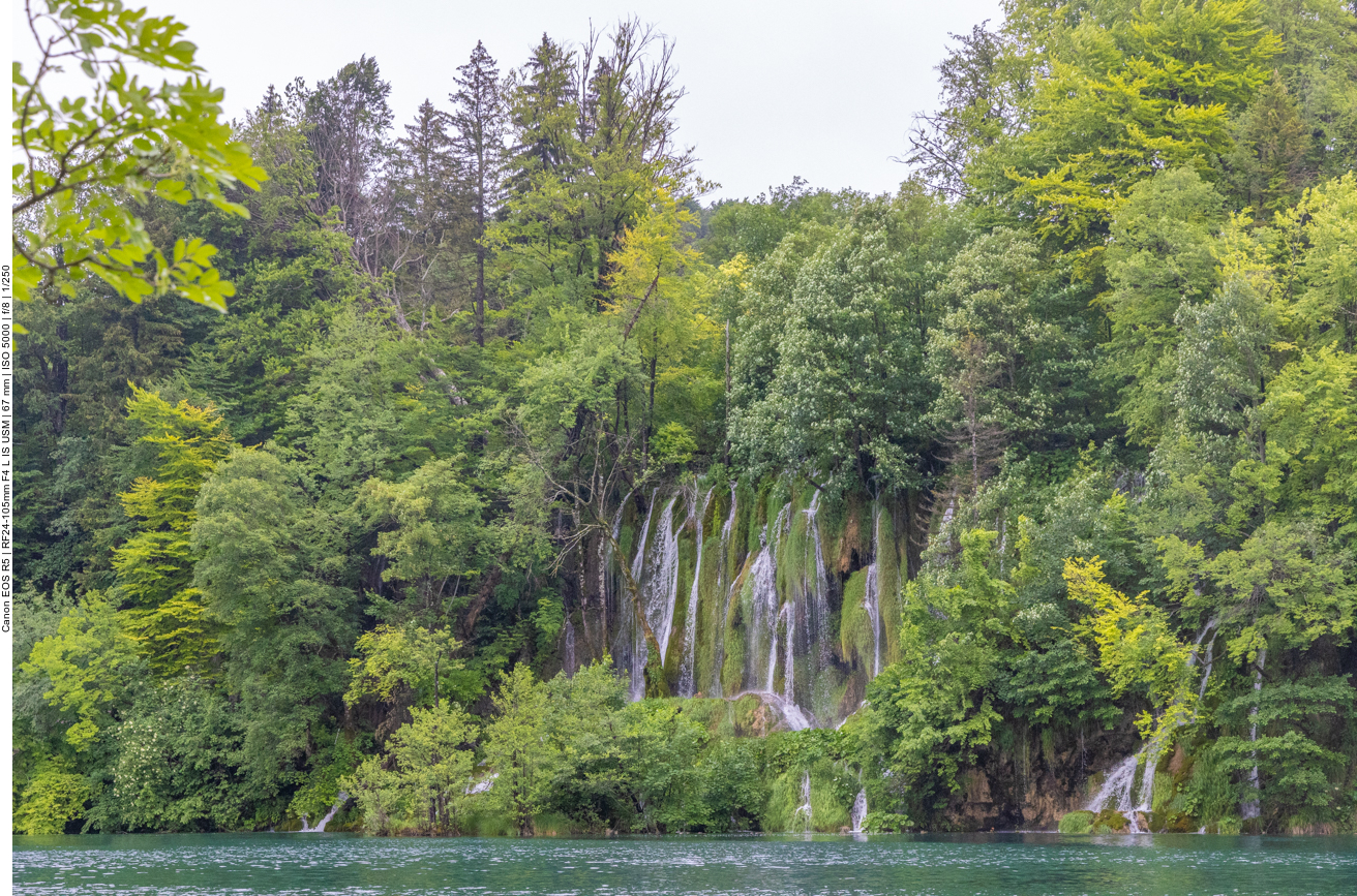 Viel Wasser = viel Grün