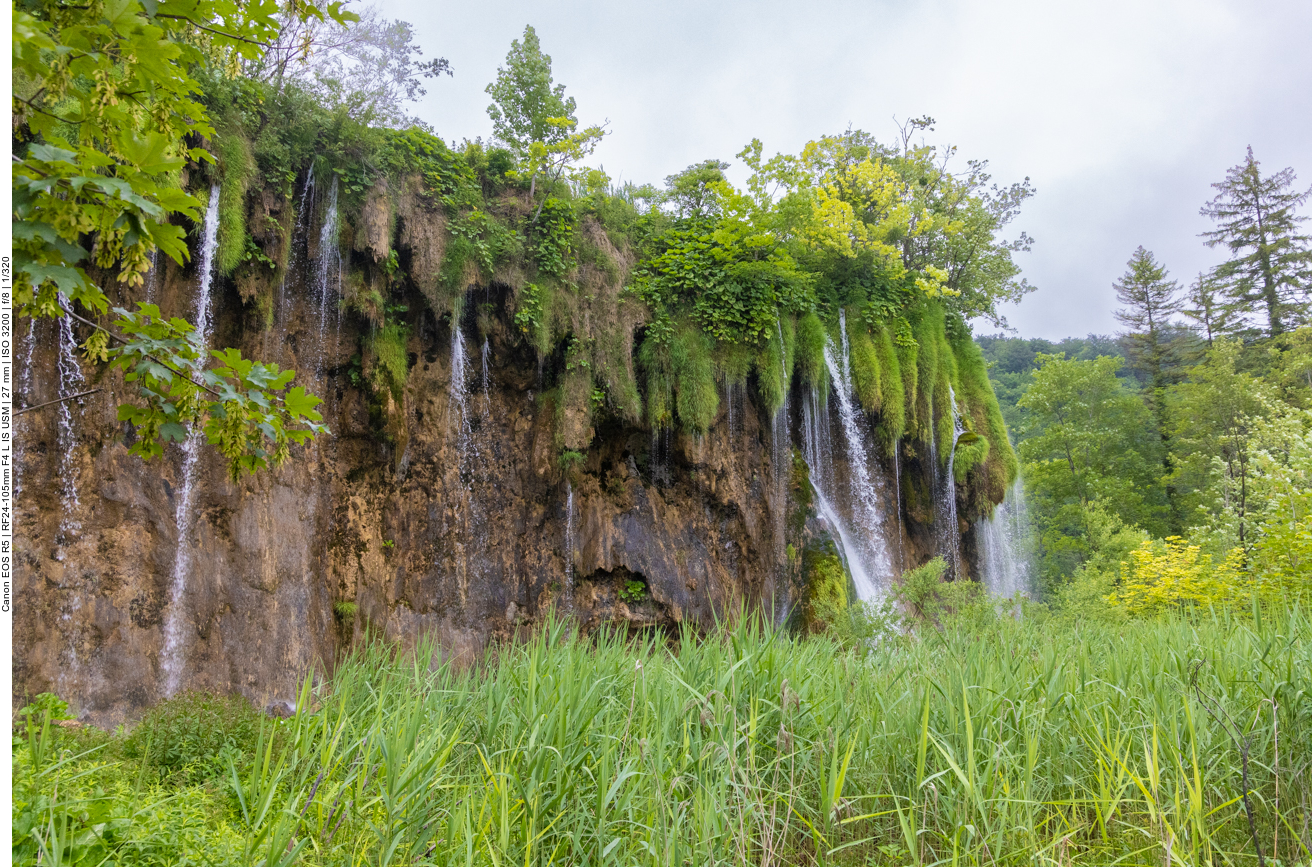 ... und durch Gewächse ...