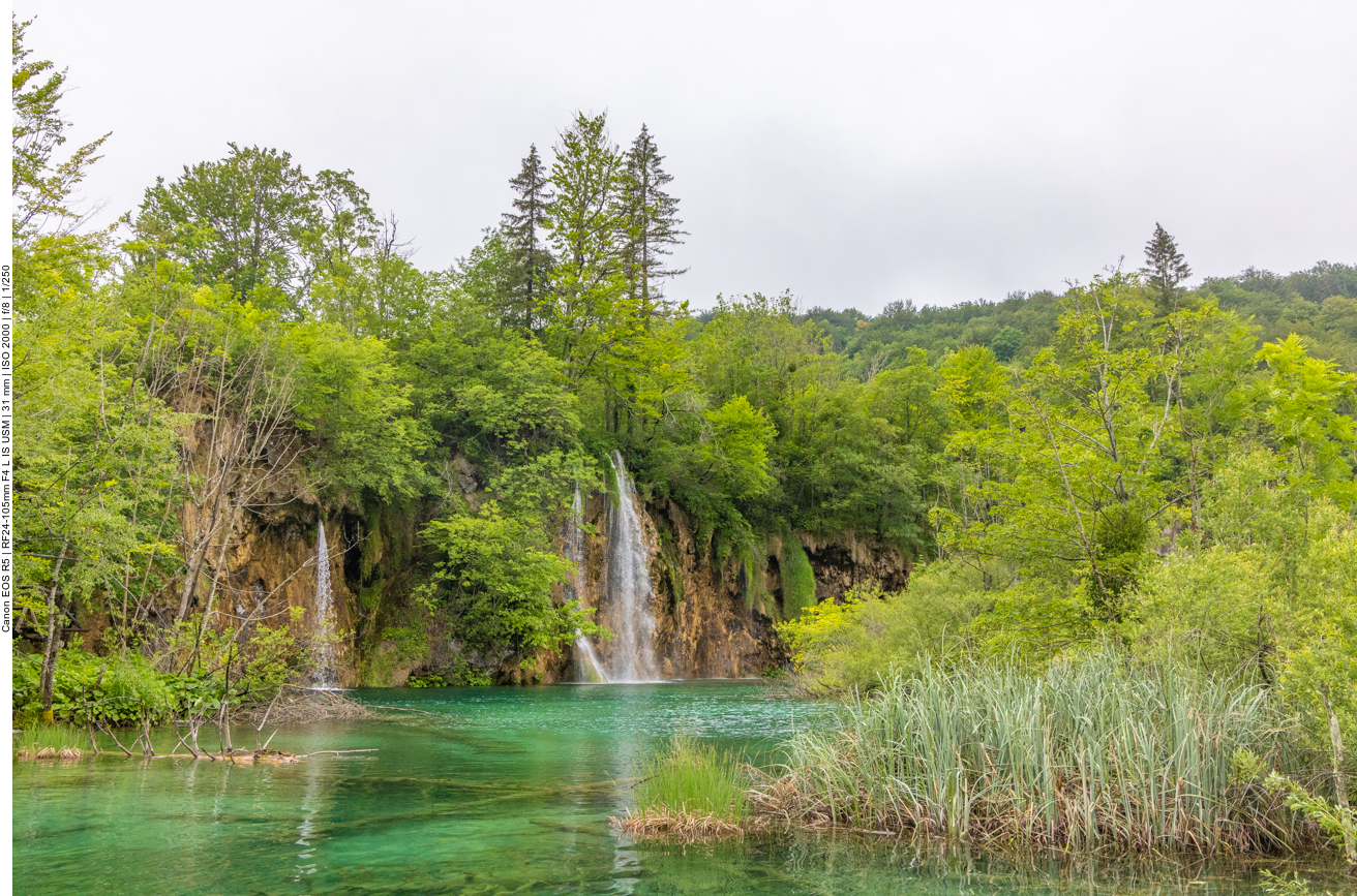 Hier schimmern alle möglichen Grüntöne