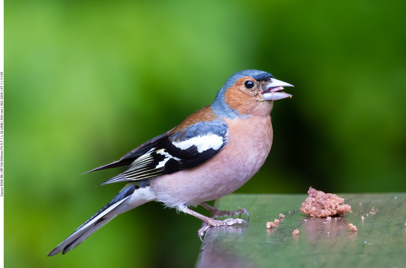 ... und er verträgt es