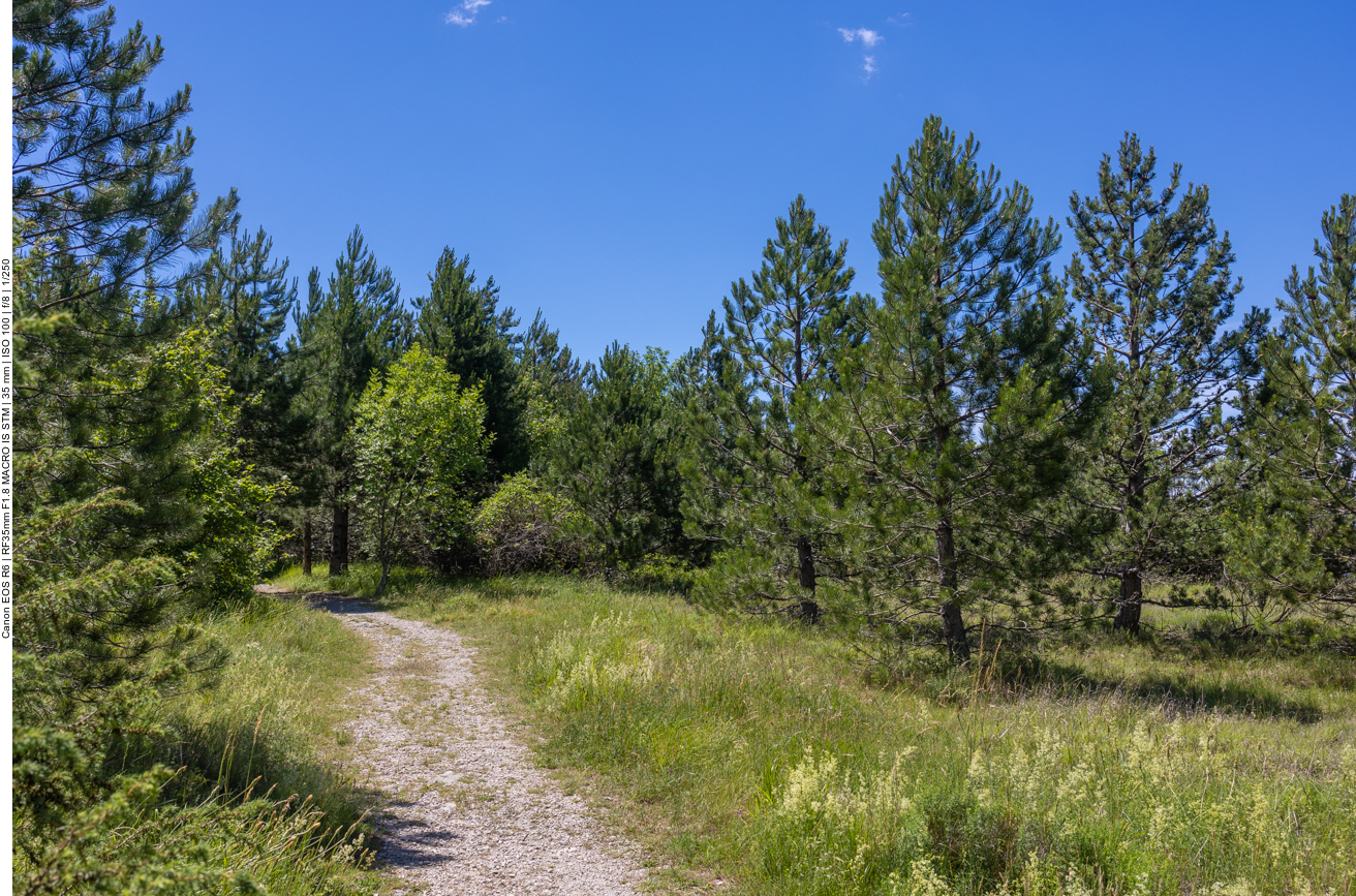 Auf dem Weg zum Vela Draga Tal