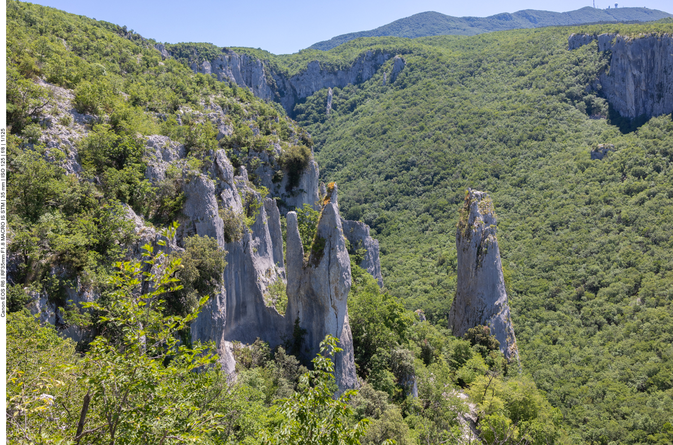 Die Kalksäulen im Vela Draga Tal