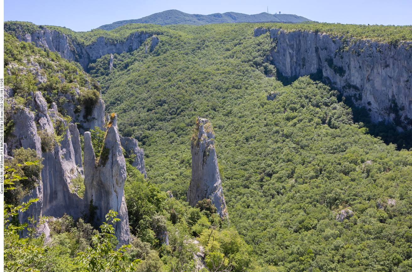 Die Kalksäulen im Vela Draga Tal