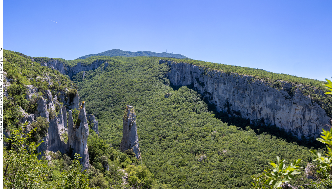 Die Kalksäulen im Vela Draga Tal